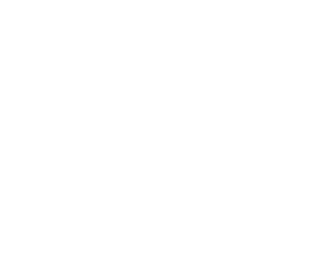 Logo Sewereng bianco